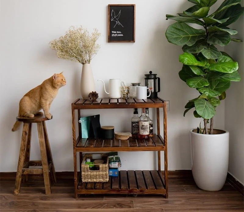 Hướng dẫn chọn mua và bảo quản kệ gỗ 3 tầng 60cm bền đẹp